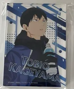 ハイキュー 影山飛雄 アクリルブロック ノーブルアート