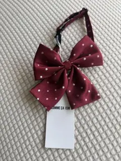 Item thumbnail for item 61f24274-2f55-4711-98a5-2d192e0d22fb