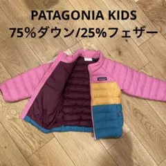 【未使用】75%ダウンPATAGONIA