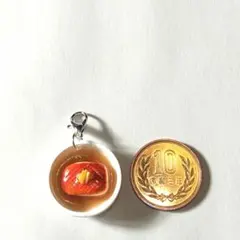 ミニチュア 赤魚の煮付け 煮付け フェイクフード a6