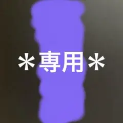 ＊専用ページ＊　購入者以外はお引き取りください