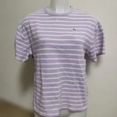 アーノルドパーマー　ストライプ半袖Tシャツ（ラベンダー）М