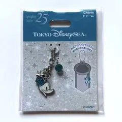 チャーム　ディズニーシー　25周年 ドナルド