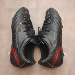 スパイク　モナルシーダネオ