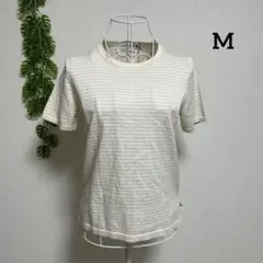 ユニクロ・M 半袖ニット トップス アイボリー ストライプ 綿100%
