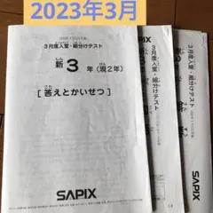 2025年最新】sapix 入室テスト 新2年の人気アイテム - メルカリ