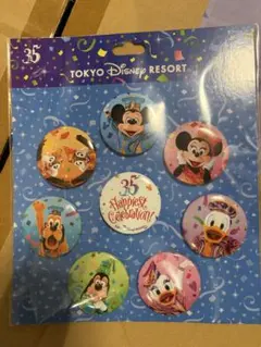 東京ディズニーランド35周年 カンバッジセット