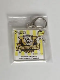 阪神タイガース 記念グッズ