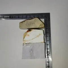 Item thumbnail for item 185563dc-70c1-462d-96a7-55a2fdeb2db4