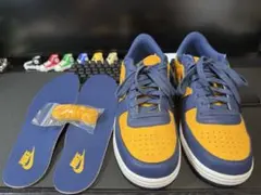 Nike Terminator Low Michigan