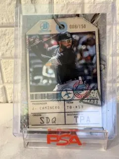 Caminero Bowman Int'l Travel Tags /150