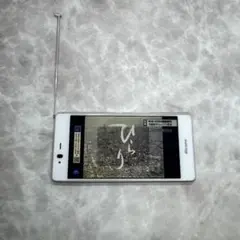 Item thumbnail for item 0c1c46eb-9fd3-45cf-948f-6b7f4fef8388