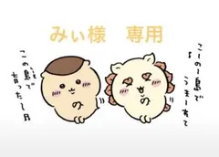 みぃさま専用