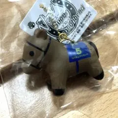 ニュースーパーサラブレッド　リバティアイランド