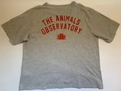 the animals observatory Tシャツ　12y キッズのサムネイル