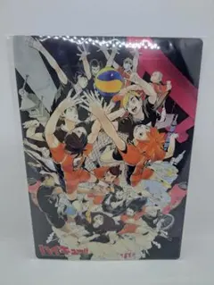 ハイキュー!! B5下敷き 烏野高校 日向翔陽 影山飛雄 月島蛍