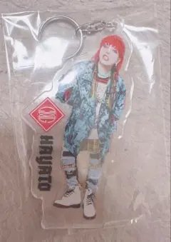 コドモドラゴン ハヤト アクキー 新品未開封