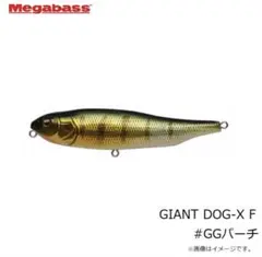 Item thumbnail for item d7bb48f2-3681-46a6-9ea8-f50dc48584b2