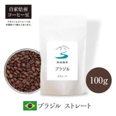 自家焙煎コーヒー豆 ブラジル ストレート 中深煎り 100gのサムネイル
