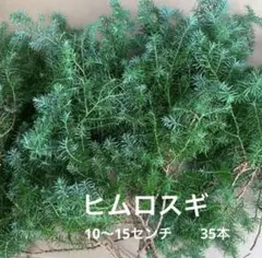 えりえり様 リクエスト 3点 まとめ商品