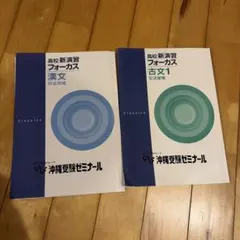 高校新演習 フォーカス 漢文・古文1 2冊セット