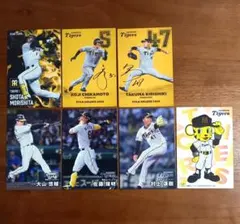 プロ野球チップス2025 阪神 スターカード ノーマルカード まとめ売り