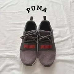 Item thumbnail for item 29c5a1db-aa09-4c4f-8826-f0a9ceb70935