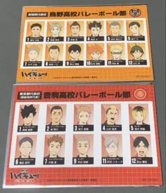 劇場版ハイキュー!! ゴミ捨て場の決戦 選手名鑑風ブロマイド 2点セット