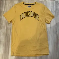 Abercrombie & Fitch Tシャツ　Ｍサイズ