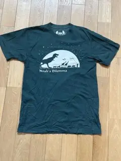 ティラノザウルス　恐竜 Tシャツ Mサイズ　USA製
