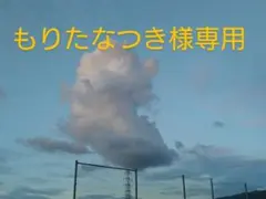 もりたなつき様専用