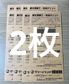 カッシーニさま専用　グリーンランド　株主優待券　2枚セット