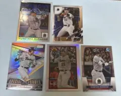 Item thumbnail for item 5bf8d28a-6887-4637-bae7-b7d6e4e6116d