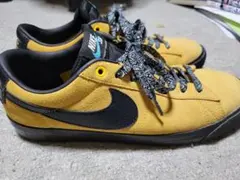 SB Zoom Blazer Low GT イエロー