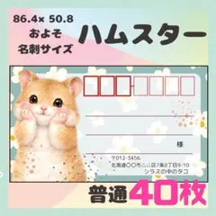 [햄스터] 메일링 스티커 라벨 40장 발신자 보통 사이즈