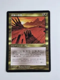 資源の浪費/Squandered Resources VIS　日本語、１枚