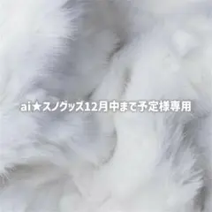 ai★スノグッズ12月中まで予定様専用