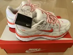 Nike P-6000 7.5 ナイキ