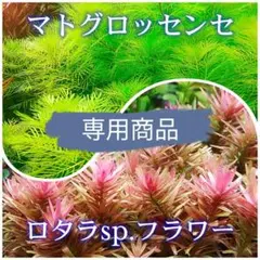 mahoroba様 リクエスト 2点 まとめ商品