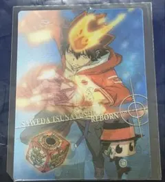家庭教師ヒットマンREBORN! 沢田綱吉＆リボーン カード