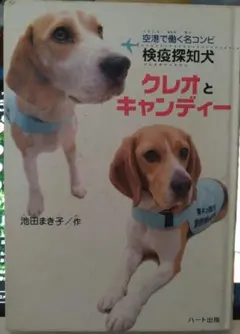 Item thumbnail for item b7f9a566-2a63-4839-bdae-a62be06c59ee