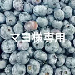 マヨさま専用 差額分