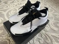 NIKE JORDAN マックスオーラ6のサムネイル