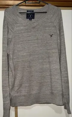 AMERICAN EAGLE OUTFITTERS クラシックフィット トレーナ