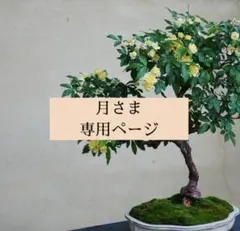 Item thumbnail for item 09956cc6-0864-4819-9934-8d2d03906cf9