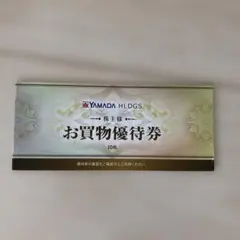 YAMADA HLDGS. お買物優待券 10枚セット