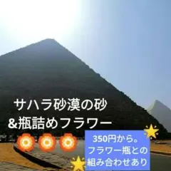 22837901_1