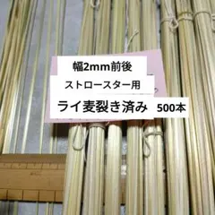 ストロースター用約2mm幅裂き済ライ麦500本　2026年5月自家栽培収穫