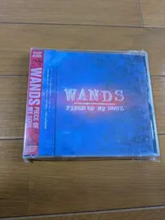 S568 WANDS 錆びついたマシンガンで今を撃ち抜こう 8cmシングル CD