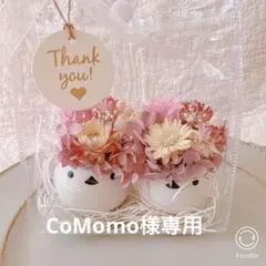 【専用】シマエナガ2個セット＆コサージュ